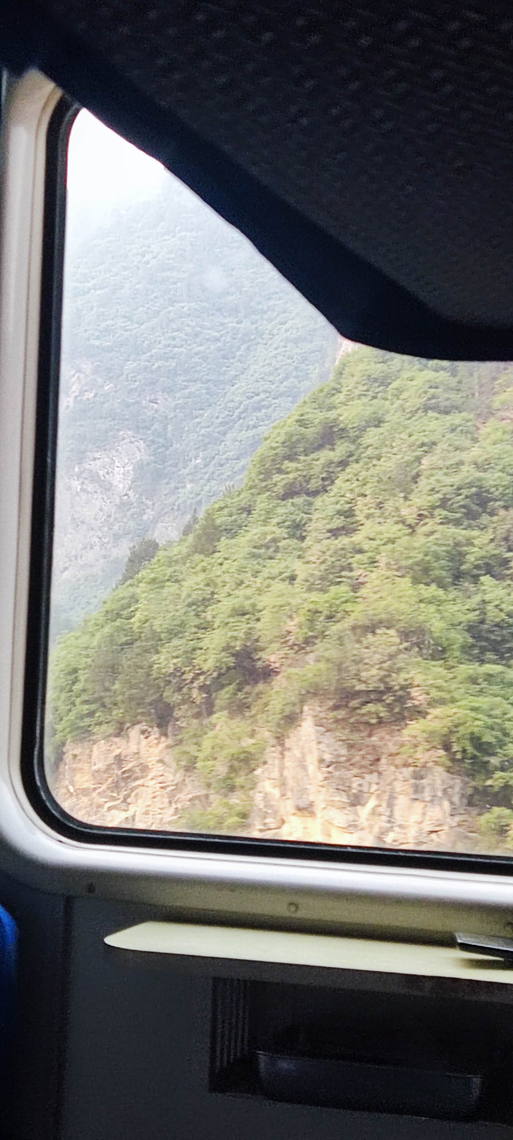 早起的窗外