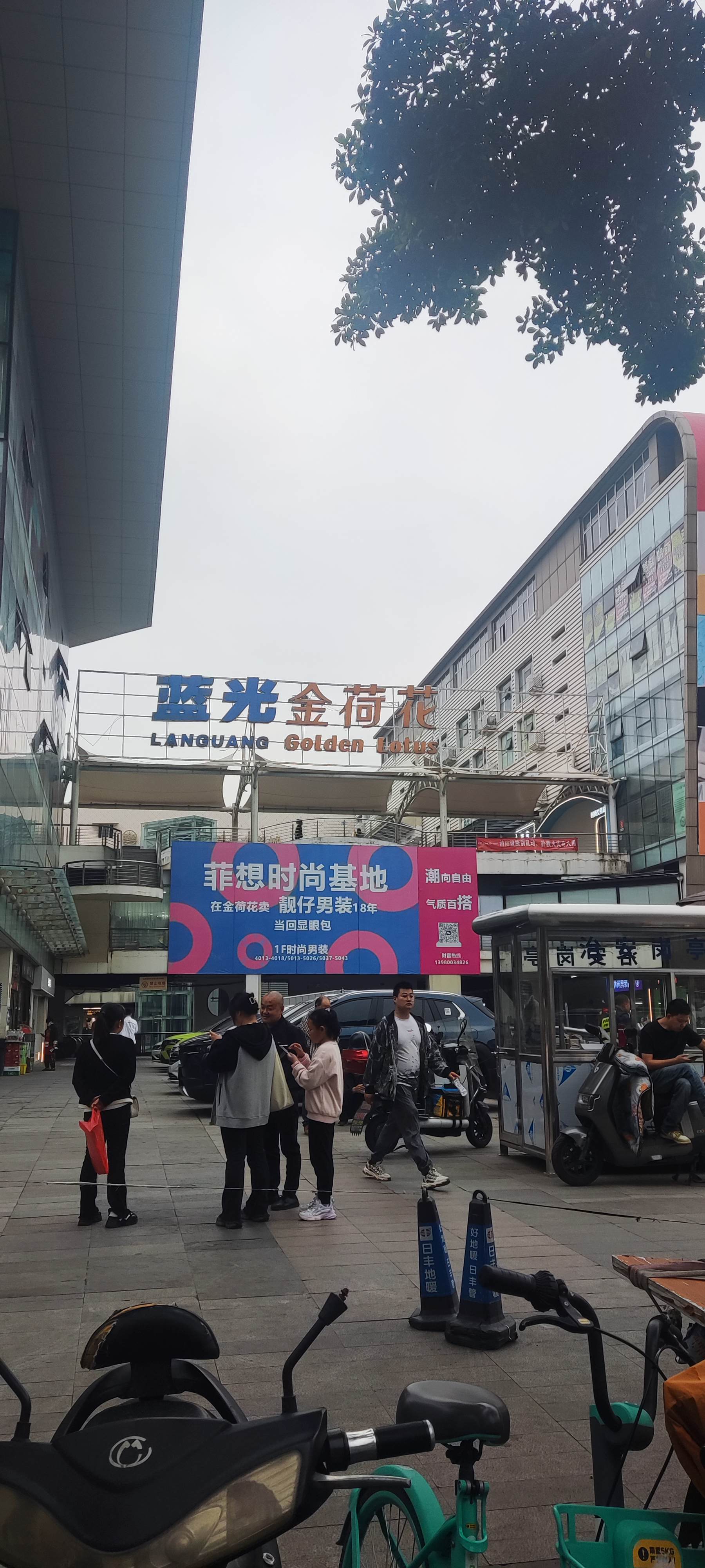 荷花池