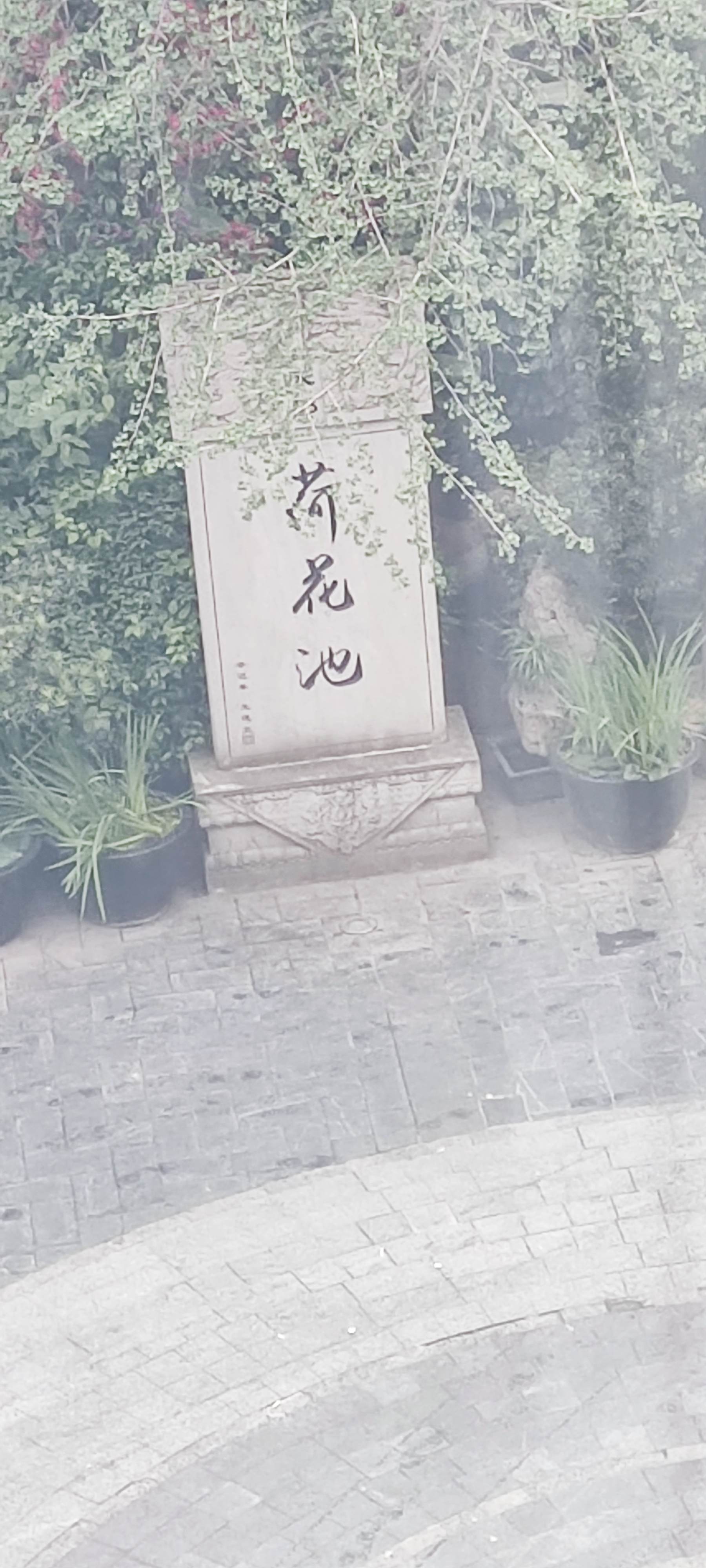 荷花池石碑